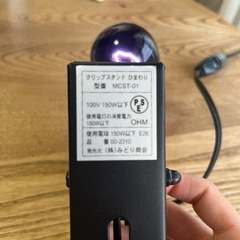 爬虫類飼育 UVライト トカゲ　の画像