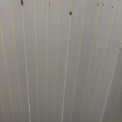 使用感あり　風呂ふた　740✖️1536の画像