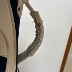 ゴルフバッグの画像
