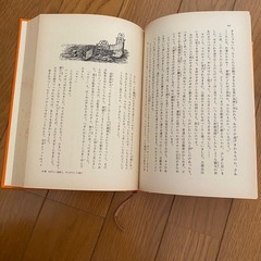 モモの画像