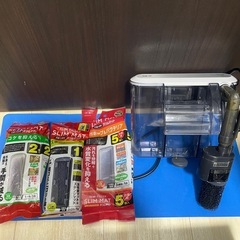 水槽セット🐠2の画像