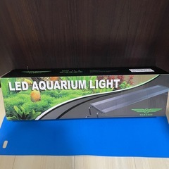 水槽セット🐠2の画像