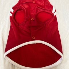 犬の洋服　中古美品の画像