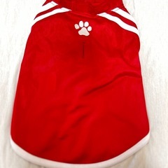 犬の洋服　中古美品の画像