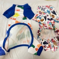 犬の洋服　中古美品の画像