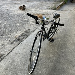 【Y1005】★新品並み★購入から1ヶ月以内！　ルノー　自転車　6段ギア付　クロスバイク　マウンテンバイク　ママチャリの画像