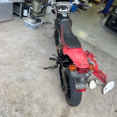 xr50モタードの画像