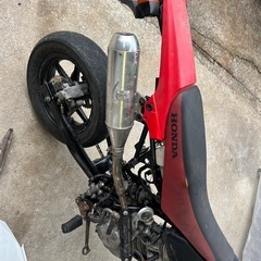 xr50モタードの画像