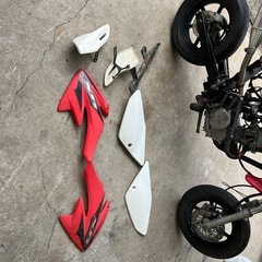 xr50モタードの画像