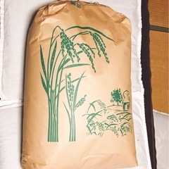 令和6年産　コシヒカリ　玄米の画像