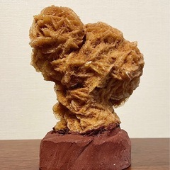 砂漠のバラ(デザートローズ)の画像