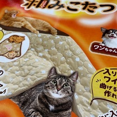 猫のほかほかこたつの画像