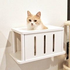 キャットウォーク🐱の画像