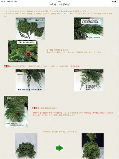 大きなクリスマスツリー　205cm