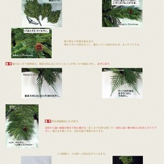 大きなクリスマスツリー　205cmの画像