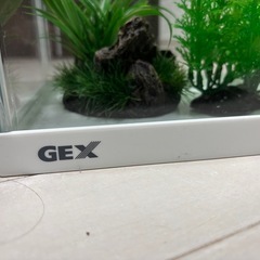水槽(GEX)と付属品まとめてお得の画像