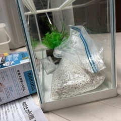 水槽(GEX)と付属品まとめてお得の画像