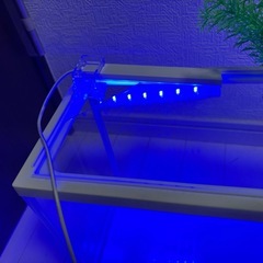 水槽(GEX)と付属品まとめてお得の画像