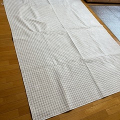 カーペット　2枚セットの画像