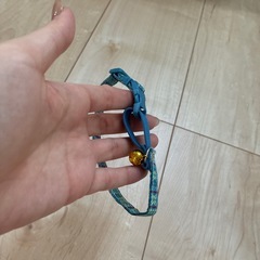 くびわ首輪の画像