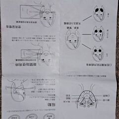 口にくわえてやるやつの画像