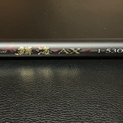 シマノ鱗海AX 1-530の画像