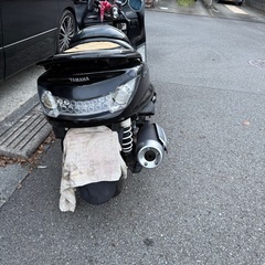 グランドマジェスティ‼️‼️の画像