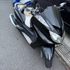 グランドマジェスティ‼️‼️の画像
