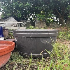 募集停止中 洋風植木鉢の画像