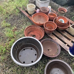 募集停止中 洋風植木鉢の画像