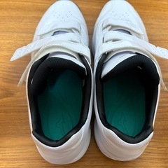 野球トレーニングしゅーシューズの画像