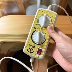 ぽかぽか 足湯DX アサヒ AY-2022N 脚温器 遠赤外線温熱の画像