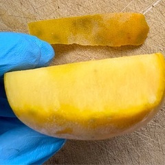 【 無農薬 】平核無柿  小ぶり4キロ強の画像