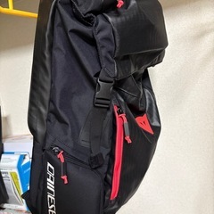 ダイネーゼの画像