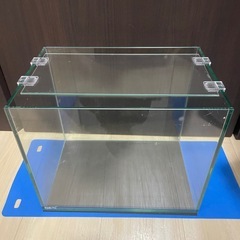 水槽セット🐠🐠4の画像