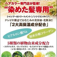 プロフィールS＋ トリートメントWL 280ml ビューティーカラープラスにて購入 の画像