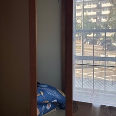ミラー付き回転ハンガーの画像