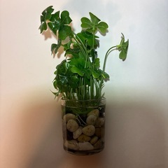 造花 観葉植物 3点セットの画像
