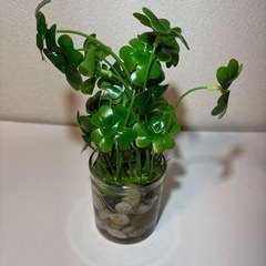 造花 観葉植物 3点セットの画像