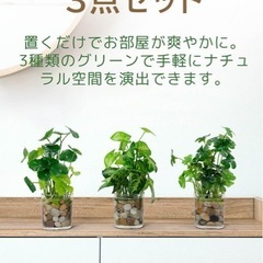造花 観葉植物 3点セットの画像