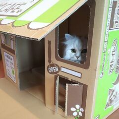 【新品・未使用】ユニチャーム デオトイレ   段ボール空き箱＊キャットカフェの画像
