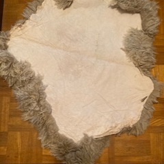 
ラグ　０円 の画像