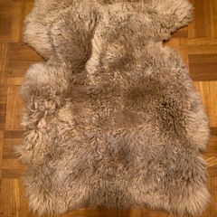 
ラグ　０円 の画像