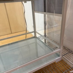 パンテオン  WH9045の画像