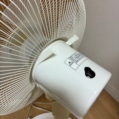 無印良品　せんふ扇風機の画像