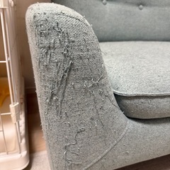 ニトリ ローソファにもなるコンパクトソファの画像