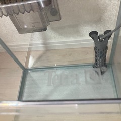 水槽30×30センチ
の画像