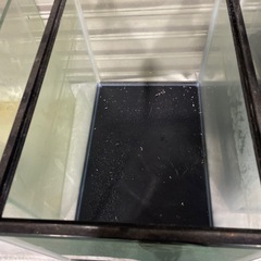 ジャンク🐟の画像