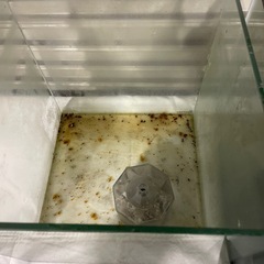 ジャンク🐟の画像