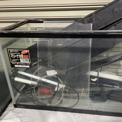 ジャンク🐟の画像